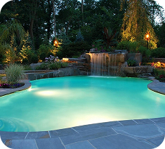 Rectangular vs. Freeform Inground Pools: Which Shape Is Better for Your Backyard?
