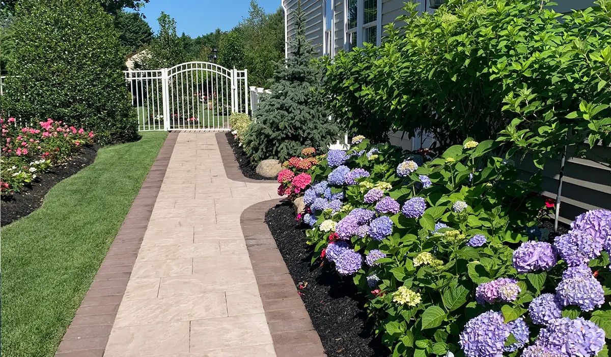 Garden Walkway And Landscape Design