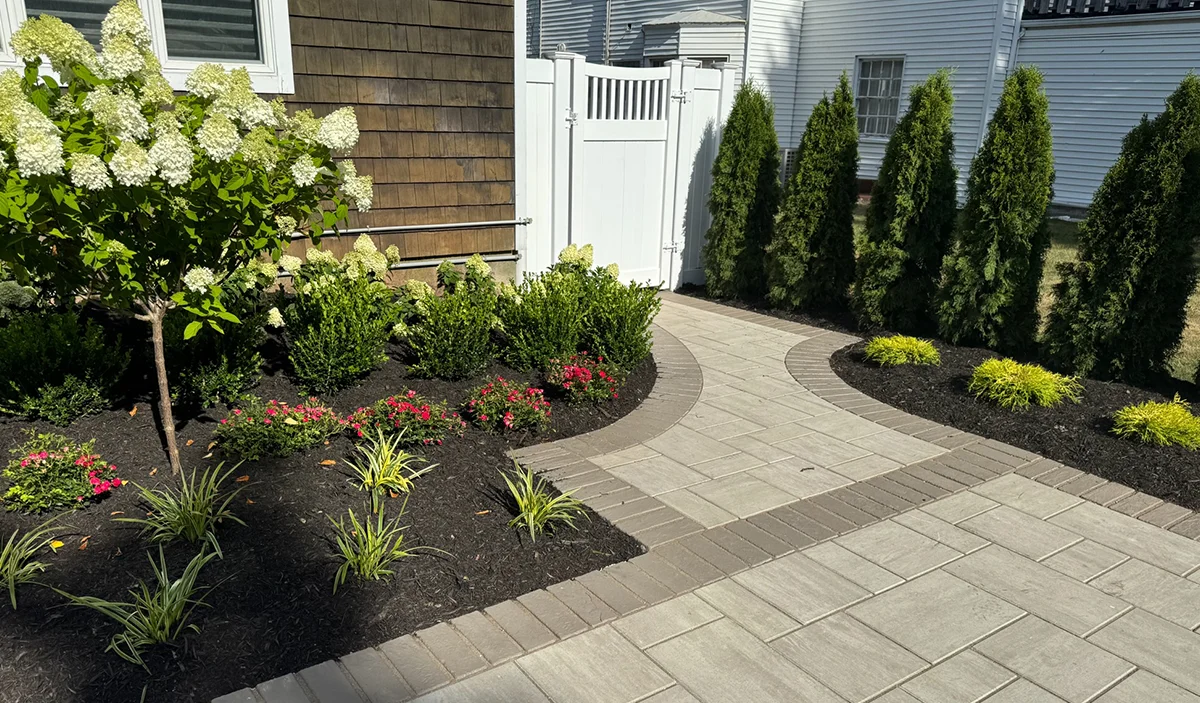Paver Walkway with Landscape Design
